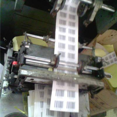 生鮮價格簽圖片 中國供應(yīng)商